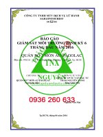 bao cao giam sat moi truong_dtm_quan bo 7 mon au pagolac_tp hcm