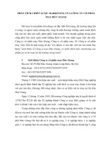 Phân tích chiến lược marketing của công ty cổ phần may đức giang 