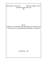 ĐỀ CƯƠNG THẠC sĩ kỹ THUẬT (chuyên ngành phát triển nguồn nước)
