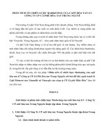 Phân tích về chiến lược marketing của café hòa tan g7 công ty CP cà phê hòa tan trung nguyên với hai đối thủ cạnh tranh là café moment của vinamilk