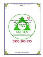 bao cao quan trac moi truong_dtm_cong ty co phan dau tu dang co_tphcm