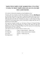 Phân tích chiến lược marketing của công ty đầu tư phát triển sông đà SJS và các đối thủ cạnh tranh 