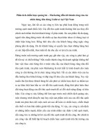 Phân tích chiến lược quảng bá – marketing dẫn tới thành công của các nhãn hàng tiêu dùng unilever tại việt nam