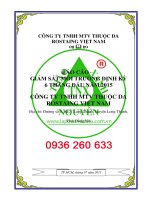 bao cao giam sat moi truong_dtm_CONG TY TNHH thuoc da rostaing viet nam_long thanh dong nai