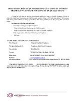 Phân tích chiến lược marketing của  công ty cổ phần traphaco và so sánh với công ty dược hậu giang