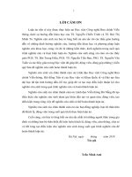 NGHIÊN CỨU CÁC GIẢI PHÁP ĐẢM BẢO CHẤT LƯỢNG MẠNG SỬ DỤNG KỸ THUẬT ĐỊNH TUYẾN