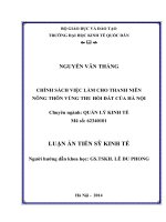 Chính sách việc làm cho thanh niên nông thôn vùng thu hồi đất của hà nội ( Luận án tiến sĩ)