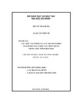 Cấu trúc tài chính của các doanh nghiệp ngành dệt may ở khu vực miền trung trong tiến trìnhhội nhập (Luận án tiến sĩ)