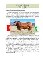 Công nghệ kĩ thuật nuôi bò thịt duanviet com vn 0918755356