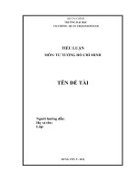 Hệ thống tên đề tài tiểu luận môn TT HCM