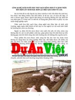 Công nghệ chăn nuôi heo thịt sạch bằng men ủ vi sinh trên nền đệm lót  sinh học - duanviet.com.vn 0918755356