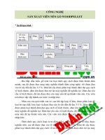 Công nghệ chế biến viên nén gỗ WOODPELLET  duanviet com vn  0918755356