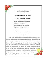 trần văn thắng hp