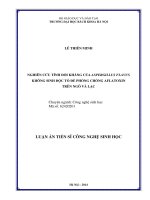 Nghiên cứu tính đối kháng của aspergillus flavus không sinh độc tố để phòng chống aflatoxin trên ngô và lạc ( Luận án tiến sĩ)