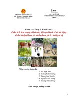 BÁO CÁO KẾT QUẢ NGHIÊN CỨU Phân tích thực trạng, tài chính, hiệu quả kinh tế và tác động về thu nhập tới các tác nhân tham gia 8 chuỗi giá trị