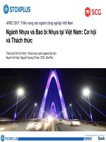 Ngành Nhựa và Bao bì Nhựa tại Việt Nam: Cơ hội và Thách thức