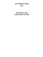 Hướng dẫn kỹ thuật phòng chống cháy rừng