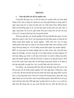 Hoàn thiện hệ thống thông tin kế toán theo định hướng ERP tại công ty TNHH thương mại và giao nhận quốc tế đà nẵng   danatrans