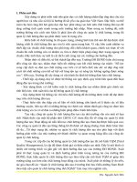 Tiểu luận giảng viên chính