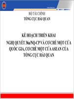 KẾ HOẠCH TRIỂN KHAI NGHỊ QUYẾT 36a/NQ-CP VÀ CƠ CHẾ MỘT CỬA QUỐC GIA, CƠ CHẾ MỘT CỬA ASEAN CỦA TỔNG CỤC HẢI QUAN