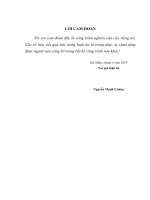 Nghiên cứu quá trình cháy của nhiên liệu biodiesel trong động cơ đốt trong (Luận án tiến sĩ)