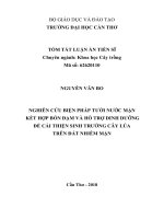 Nghiên cứu biện pháp tưới nước mặn kết hợp bón đạm và hỗ trợ dinh dưỡng để cải thiện sinh trưởng cây lúa trên đất nhiễm mặn tt