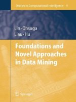 Springer lin  co foundations and novel approaches in data mining 2006   