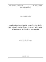 Nghiên cứu đặc điểm hình thái màng ối, tế bào gốc màng ối người và khả năng biệt hóa thành tế bào giống tế bào bê ta tụy nội tiết (Luận án tiến sĩ)