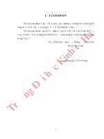 Quản trị rủi ro trong hoạt động của doanh nghiệp thương mại nhỏ và vừa ở Thành Phố Huế