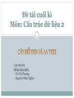 Đề tài cuối kì Môn: Cấu trúc dữ liệu 2  CÂY ĐỎ ĐEN VÀ AA TREE