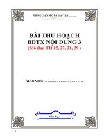 BÀI THU HOẠCH BDTX TIỂU học  MODULE 15  21,  27, 39