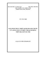 Giải pháp phát triển kinh doanh chuỗi cửa hàng bán lẻ điện thoại di động trên địa bàn Hà Nội