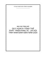 BÁO CÁO TỔNG HỢP QUY HOẠCH TỔNG THỂ PHÁT TRIỂN KINH TẾ - XÃ HỘI TỈNH NAM ĐỊNH ĐẾN NĂM 2020