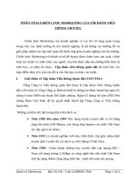 Phân tích chiến lược marketing của tập đoàn viễn thông viettel 