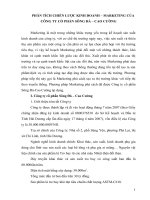 Phân tích chiến lược kinh doanh – marketing của  công ty cổ phần sông đà – cao cường 