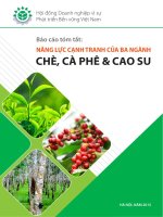 Báo cáo tóm tắt: NĂNG LỰC CẠNH TRANH CỦA BA NGÀNH CHÈ, CÀ PHÊ & CAO SU
