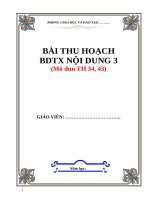 BÀI THU HOẠCH BDTX TIỂU học  MODULE 43, 34