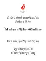 Kỷ niệm 45 năm thiết lập quan hệ ngoại giao Nhật Bản và Việt Nam 「Tình hình quan hệ Nhật Bản – Việt Nam hiện nay」