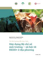 Tài liệu hướng dẫn thực hiện Xây dựng Bộ chỉ số môi trường – xã hội về REDD+ ở địa phương