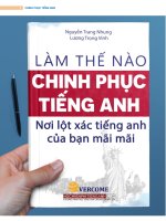 Chinh phục tiếng anh thành công