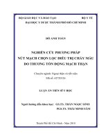 LUẬN ÁN TS-Nghiên cứu phương pháp nút mạch chọn lọc điều trị chảy máu do thương tổn động mạch thận (FULL TEXT)
