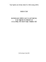 BÁO CÁO ĐÁNH GIÁ TIẾP CẬN VÀ SỬ DỤNG CÁC DỊCH VỤ PHÁP LÝ CỦA PHỤ NỮ DÂN TỘC THIỂU SỐ