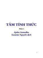 Tâm tình thức (Thực hành chánh niệm) 2