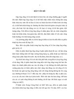 Đánh giá kết quả điều trị bệnh lý hẹp ống sống cổ bằng phẫu thuật tạo hình bản sống