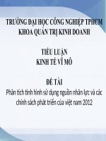 Phân tích tình hình sử dụng nguồn nhân lực và các chính sách phát triển của việt nam 2012