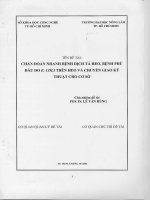 chẩn đoán nhanh bệnh dịch tả heo bệnh phù đầu do ecoli trên heo và chuyển giao kỹ thuật cho cơ sở 