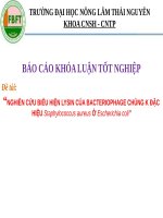 NGHIÊN cứu BIỂU HIỆN LYSIN của BACTERIOPHAGE CHỦNG k đặc HIỆU staphylococcus aureus ở escherichia coli 