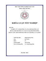 Nghiên Cứu Ảnh Hưởng Của Tỉ Lệ Dinh Dưỡng NP Đến Sinh Trưởng Của Tảo