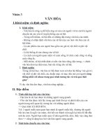 Bài thảo luận về Văn hóa