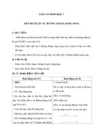 Giáo án Hình học 7 chương 1 bài 5: Tiên đề Ơ_clit về đường thẳng song song